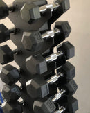 Kit Halter Sextavado injetado 01Kg A 10Kg (110Kg) + Suporte