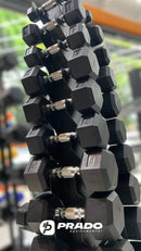 Kit Halter Sextavado injetado 01Kg A 10Kg (110Kg) + Suporte