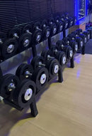 Kit dumbell injetado 12 ao 30KG + Suporte