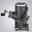 Flexora e Extensora Conjugada 80kg DHZ