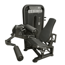 Flexora e Extensora Conjugada 80kg DHZ