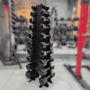 Kit Halter Sextavado Emborrachado 01Kg A 10Kg (110Kg) + Suporte